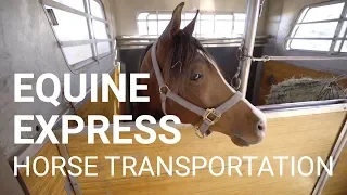 Equine Express - Horse Transportation Nationwide