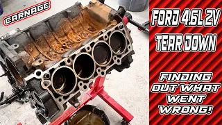 Knocking Ford Mustang 4.6L 2v Complete Engine Teardown | Avoidable Mistake or Random Failure?