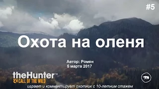 Охота на оленя в theHunter Call of the Wild