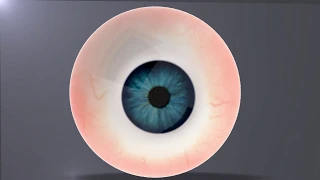 Maya Tutorial | How to create easy eye | Eyeball with Arnold