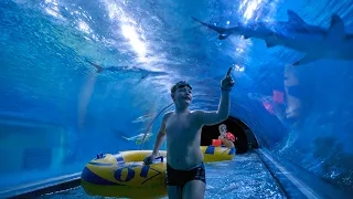 Underwater Shark Water Slide at Aquapark Reda