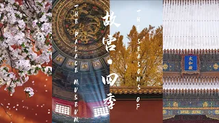 《故宫·四季》The Seasons of the Palace Museum