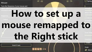 How to set up a mouse remapped to the Right stick