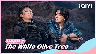 Trailer：You are the Sunshine that Illuminates Me | The White Olive Tree | iQIYI Romance | stay tuned