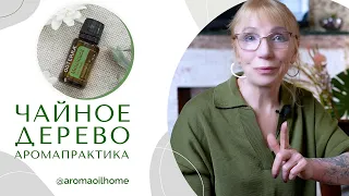 Эфирное масло Чайное дерево