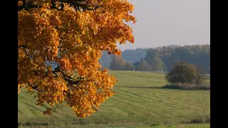 Imeline Eesti sügis - Amazing Estonian Autumn (4K video)