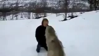 Look at this beautiful reunion between this woman and these wolves!