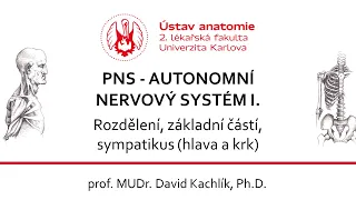 PNS  - Autonomní nervy 1