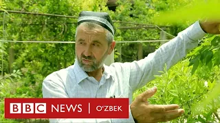 Ўзбекистон: Бир дарахтдан 70 хил мева олаётган деҳқон - BBC News O'zbek Dunyo Yangiliklar