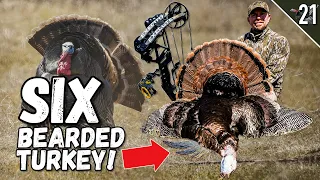 Turkey Tour Day 21 - 6 Bearded Turkey w/ a Bow! (Gobbler of a Lifetime!!!)