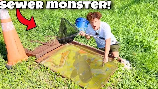 I Found MONSTER FISH Trapped In SEWER!