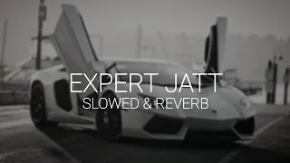 EXPERT JATT [SLOWED & REVERB] - NAWAB