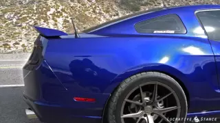 Grumpy 5.0 Mustang