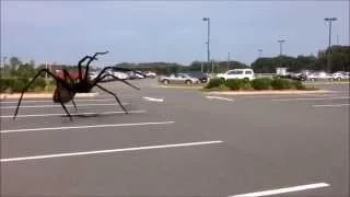Giant Spider Attacks!!! (Action Movie FX)