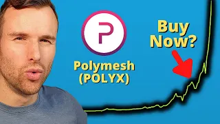 Why Polymesh is up 🤩 Polyx Crypto Token Analysis