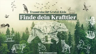 Traumreise für Kinder & Erwachsene | Krafttierreise zum Einschlafen | Krafttier finden - Meditation