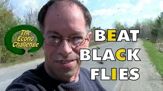 Black Fly - How To Protect Yourself In The Wilderness