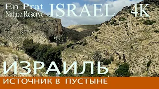 Израиль | Источник в Иудейской пустыне