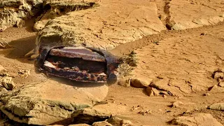 NASA's perseverance rover recently released new 4k video footage of mars surface! Mars 4k images!