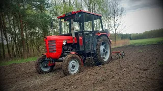 Kultywatorowanie 2024 - Zetor 3011