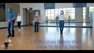 LDVALI does Westie Work by AS & EW (How To Brief & Demo)