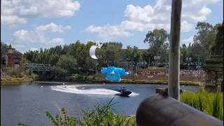 Kite Crashes During Kite Tails at Disney Animal Kingdom