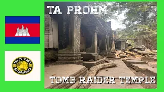 Tomb Raider Temple Cambodia