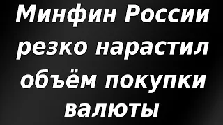 Минфин России резко нарастил объём покупки иностранной валюты! Курс доллара.