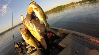 Post spawn top water on Guntersville