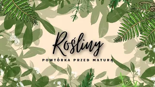 Rośliny - powtórka przed maturą z biologii 2023