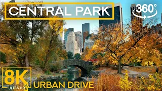 Virtual Trip to Central Park in 8K - 360° VR Ride through the Heart of New York City