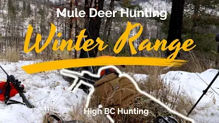 Hunting the BC Winter Range For Giant Mule Deer  Part 5