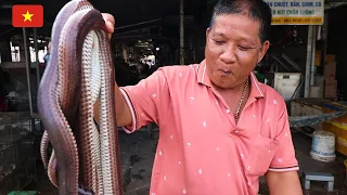 Deep Inside RURAL VIETNAM Exotic Jungle Market 🇻🇳