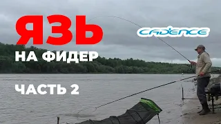 43 язя на фидер на Иртыше. Часть 2. Удилище Cadence Distance Feeder 3.9 150 #OmskFish