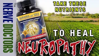 Take These Nutrients To Heal Neuropathy!  And HOW MUCH - The Nerve Doctors