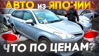 Народные Авто из Японии❗️Что покупают в Апреле 2024❓