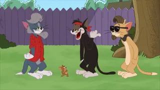 The Tom and Jerry Show Tom Quits Chasing Jerry