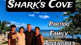 We had fun day of snorkeling at Shark's Cove