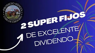 2 Super fijos de Excelente dividendo para ganar este domingo 17/03 en el Hipódromo La Rinconada 🐎🐎
