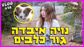 נויה איבדה גור כלבים, והסתבכנו עם הבית ספר לאילוף (מתיחה)