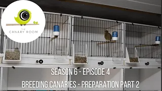 The Canary Room Season 6 Episode 4 - Preparing Canaries for Breeding Part 2