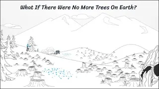 What If There Were No More Trees On Earth?