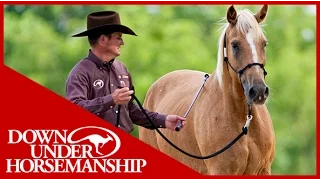 Clinton Anderson: Training a Rescue Horse, Part 3 - Downunder Horsemanship