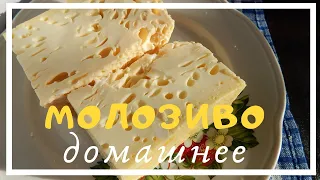 Как приготовить молозиво ДОМАШНЕЕ натуральное. Готовим вкусная запеканка в ДУХОВКЕ. Простой РЕЦЕПТ