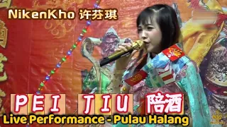 Nikenkho 许芬琪 - Pei Jiu 陪酒 (Live Performance - Pulau Halang) #fyp #pulauhalang #liveperformance
