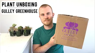 Houseplant Unboxing | Gulley Greenhouse