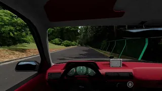 teaching myself how to drive