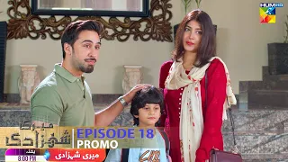 Meri Shehzadi - Episode 18 Promo - Saturday At 09 PM Only on HUM TV