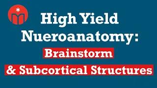 High Yield Neuroanatomy: Brainstem & Subcortical Structures