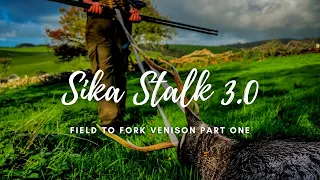 Sika Deer Stalk Dorset 3.0 Hunter Gatherer Cooking HGC